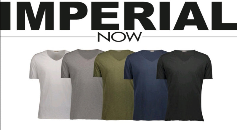 T-Shirt V Ausschnitt grau  - Imperial